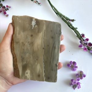 XL Petrified Wood Slab